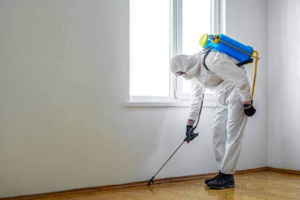 Best Commercial Pest Control Services  in Monticello, IL