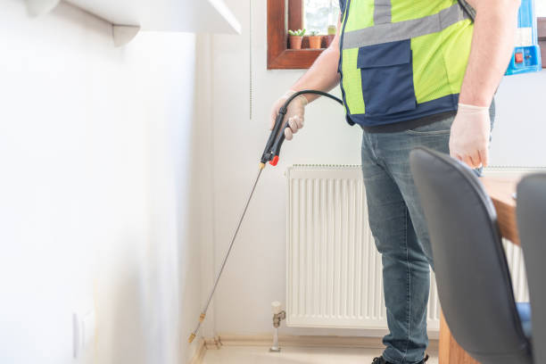 Best Termite Control Services  in Monticello, IL