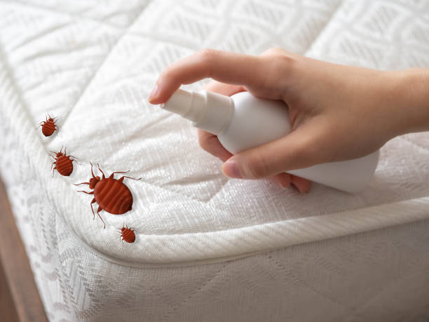 Best Pest Control Near Me  in Monticello, IL