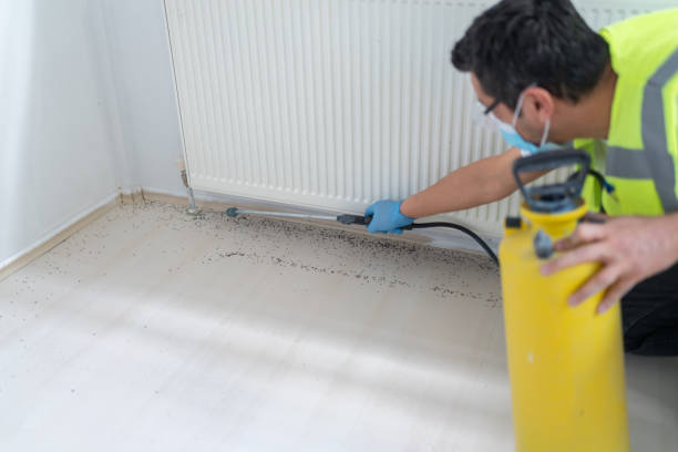 Best Affordable Exterminators  in Monticello, IL